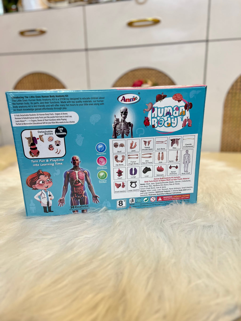 Human Body Anatomy Model – 30 Realistic Parts (Age 8+)