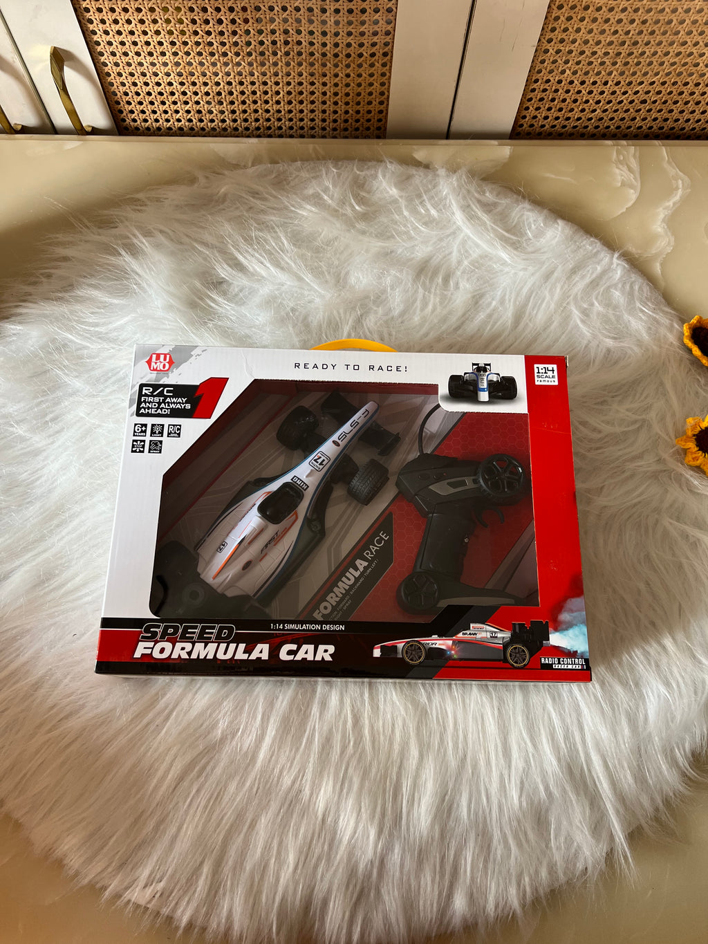 Remote control F1 formula car