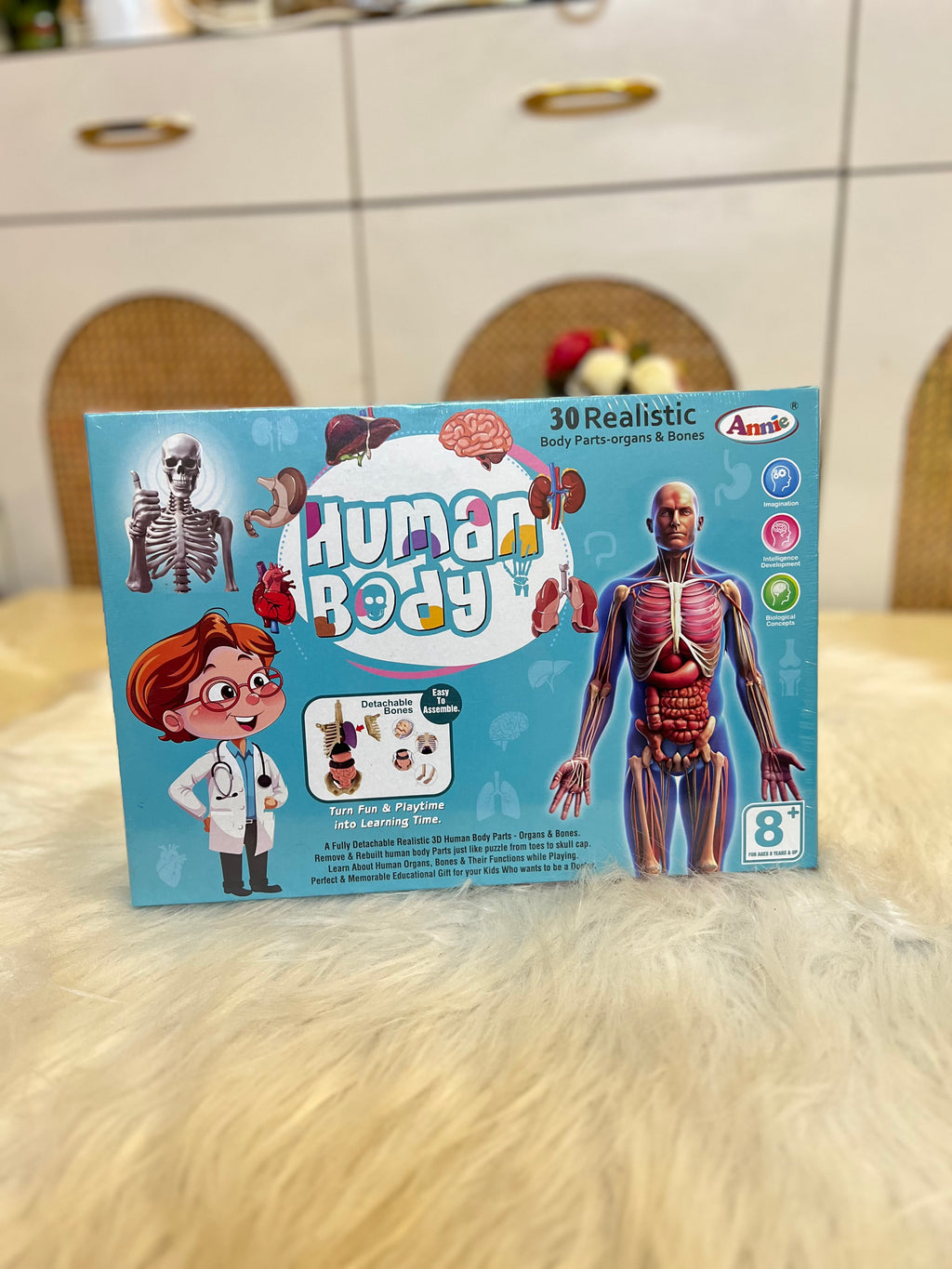 Human Body Anatomy Model – 30 Realistic Parts (Age 8+)