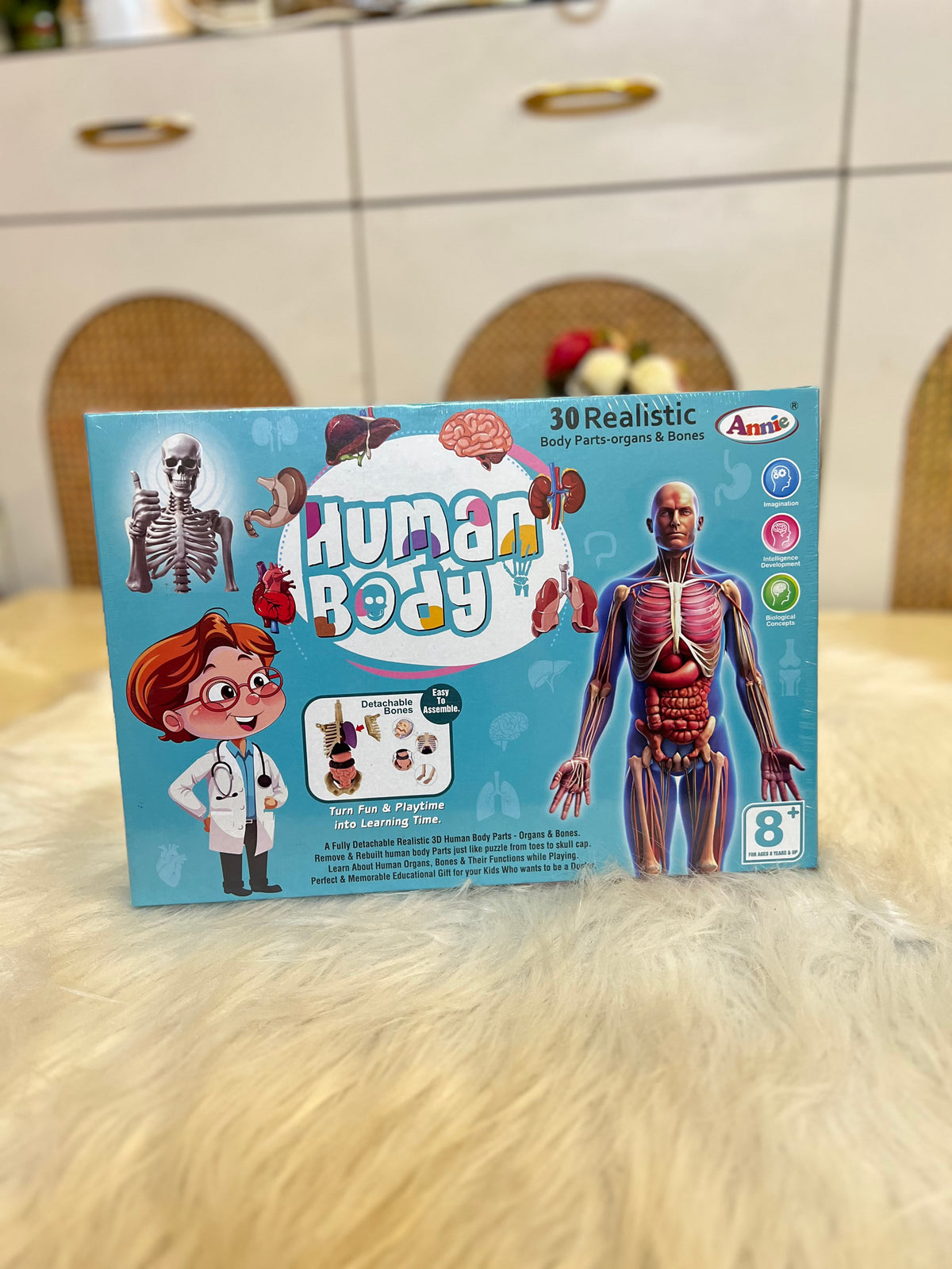 Human Body Anatomy Model – 30 Realistic Parts (Age 8+)