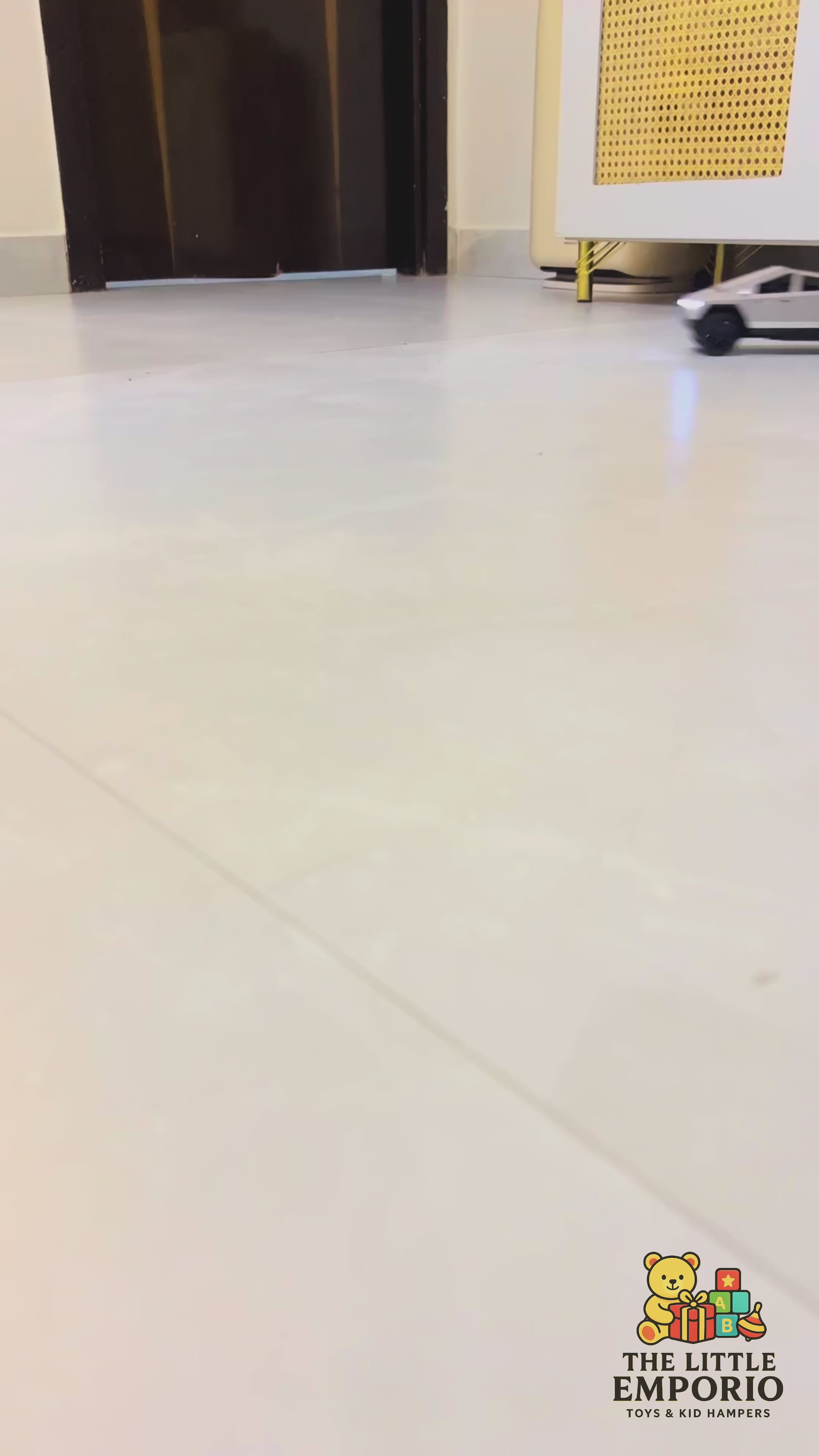 Tesla RC Car
